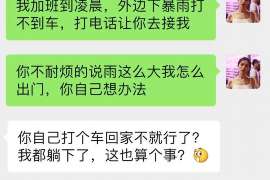 双牌侦探取证：夫妻共有财产分割原则